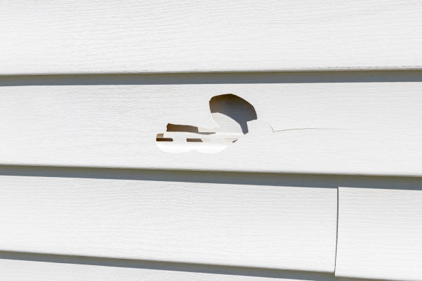 Best Residential Vinyl Siding Installation  in Rainbow City, AL