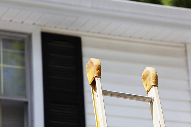 Best Stone Veneer Siding  in Rainbow City, AL